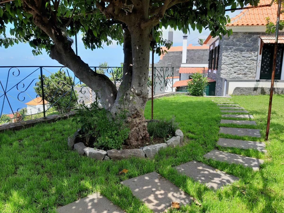 Готель Casa Velha D Fernando E Casa Avo Augusta Рібейра-Брава Екстер'єр фото