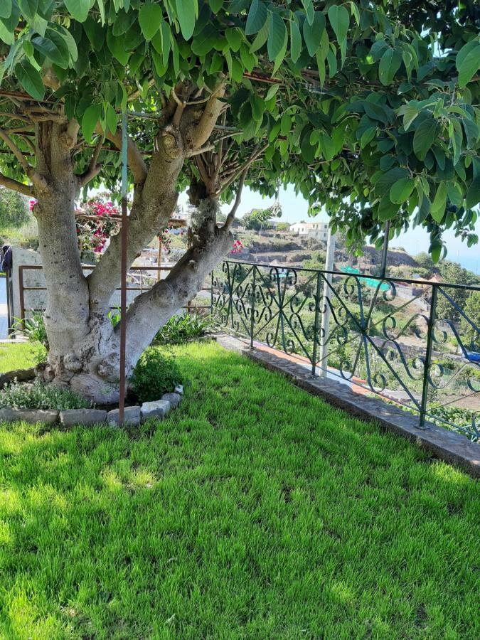 Готель Casa Velha D Fernando E Casa Avo Augusta Рібейра-Брава Екстер'єр фото